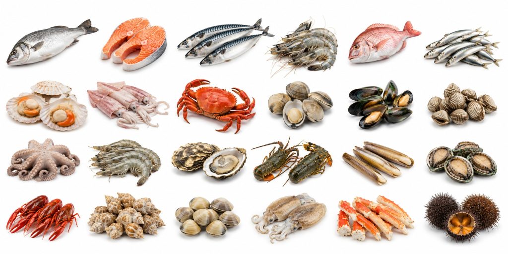 Fresh Seafood catalogue for vessel provisions – CV. Amna Glory Marine